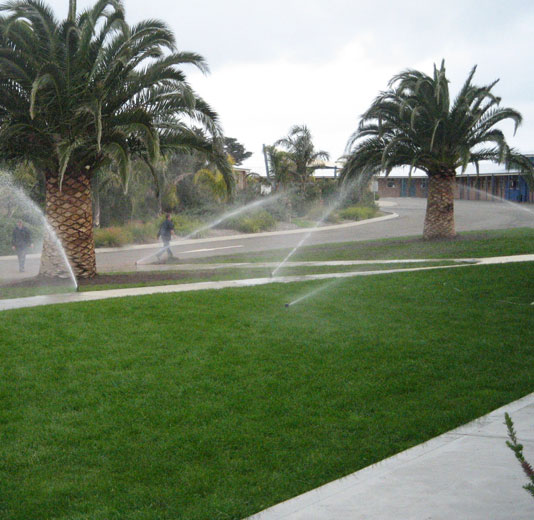 Image of Sprinklers watering the Grounds